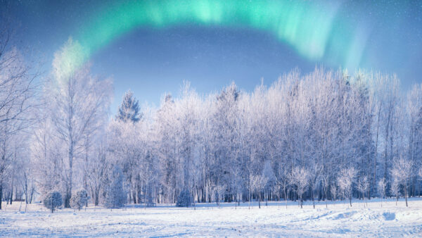 Wallpaper Snow, Nature, Borealis, Winter, Aurora