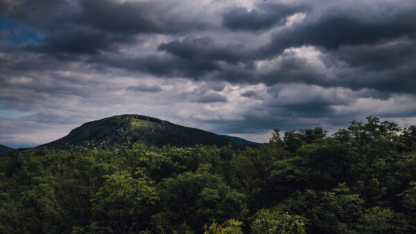 Wallpaper Desktop, Mountains, Moible, Nature, Green, Black, Beautiful, Clouds, White, Forest, Background, Under, Sky, Trees