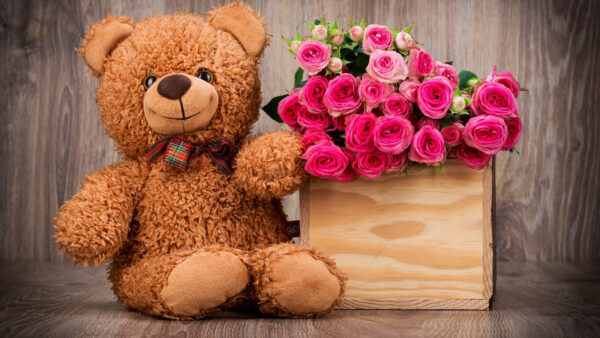 Wallpaper Roses, Bouquet, Pink, Teddy, With, Bear