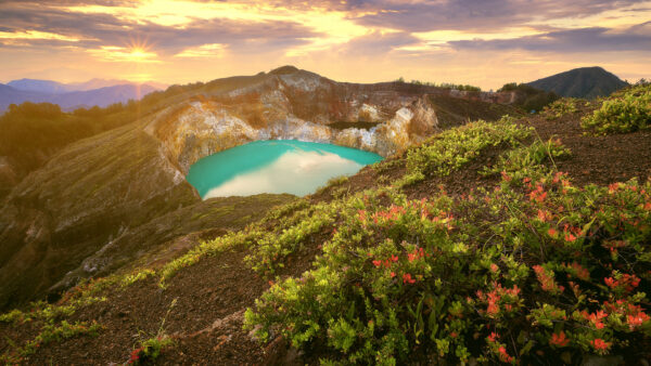 Wallpaper Rocks, Surrounded, Plants, Mountain, Nature, View, Red, Landscape, Lake, Flowers