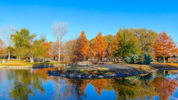 Wallpaper Garden, Sky, Fall, Blue, Reflection, Trees, Autumn, Pond, Under, Green, Water, Yellow