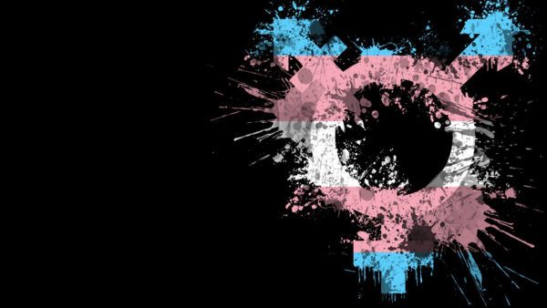 Wallpaper Blue, Splash, Paint, White, Background, Desktop, Pink, Pride, Black