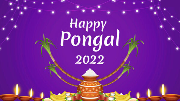 Wallpaper Pongal, Background, Lights, Purple, Happy, 2022, Decoration