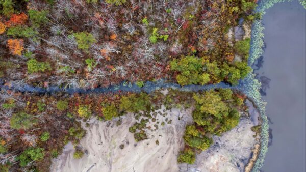 Wallpaper View, Bushes, Rocks, River, Mobile, Desktop, Aerial, Forest, Trees, Water, Stones, Nature