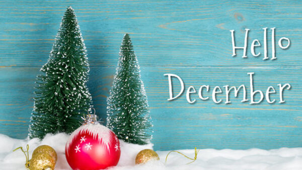 Wallpaper December, Christmas, Snow, Tree, Golden, Decoration, Balls, Hello, Red