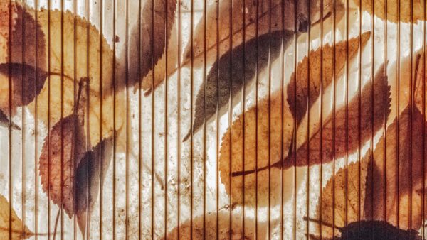 Wallpaper Brown, Stripes, WALL, Art, Drawing, Leaves, Texture
