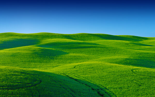Wallpaper Green, Scenery, Sky, Blue, Landscape, Greenary