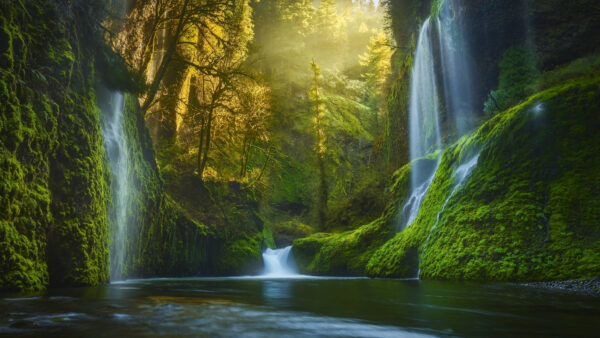 Wallpaper Mobile, Trees, Black, Near, Desktop, Covered, Green, Mountains, Waterfalls, Nature, During, Daytime