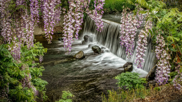 Wallpaper Phone, Pc, Download, Landscape, Background, Free, Mobile, Nature, 4k, Rocks, Cool, Waterfall, Wallpaper, Plants, Images, Desktop