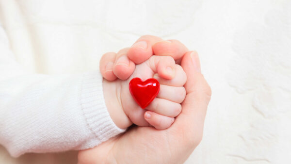 Wallpaper Red, With, Love, Hand, Heart, Desktop, Dad, Child, MOM, Holds