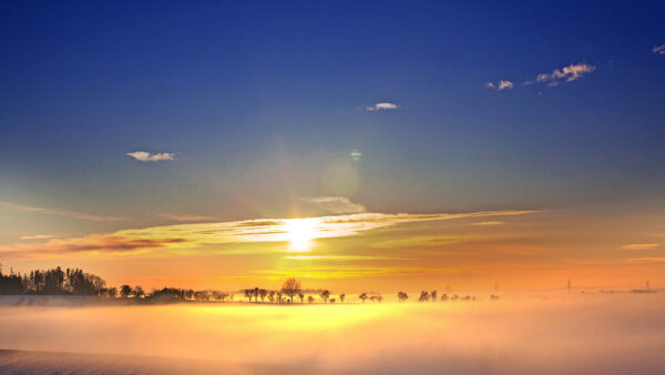 Wallpaper Sunrise, View, During, Trees, Landscape, Covered, Nature, Fog, Desktop