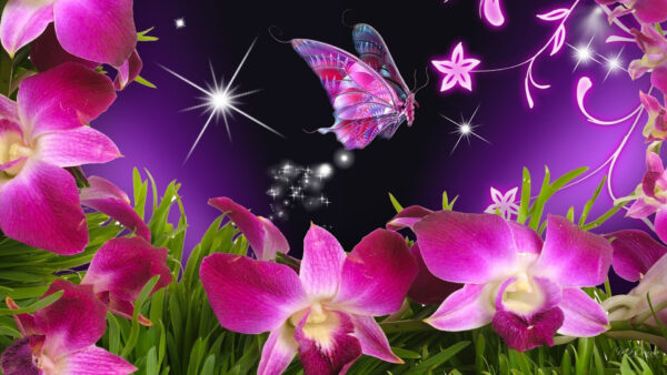 Wallpaper With, Flying, Butterfly, Pink, Above, Roses, Leaves