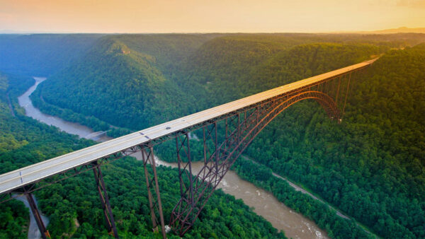 Wallpaper Bridge, Nature, Forest, View, Trees, Covered, River, Aerial