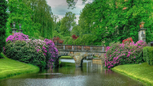 Wallpaper Colorful, Flowers, Plants, Water, Nature, Slope, Bridge, Between, Above, Grass, Trees, Green