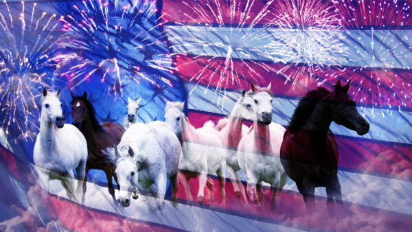 Wallpaper Day, Fireworks, Horse, Flag, USA, 4th, Independence, July