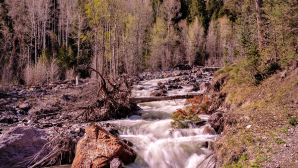 Wallpaper River, Nature, Covered, Between, Trees, Scenery, Rocks, Mobile, Water, Stream, Desktop, Forest, Land