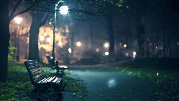 Wallpaper Green, Street, Nighttime, Trees, During, Bench, Nature, Lights, Wood