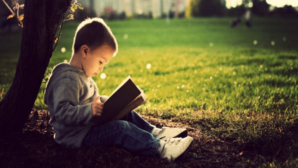 Wallpaper Dress, Ground, And, Book, Sitting, With, T-Shirt, Little, Boy, Wearing, Cute, Blue, Ash, Jeans