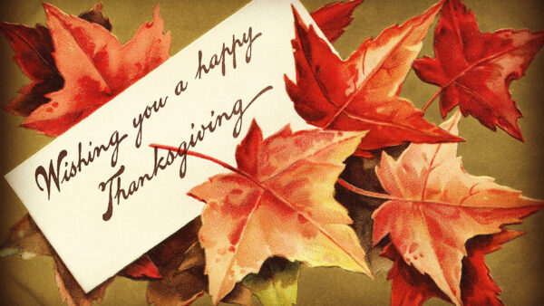 Wallpaper With, Happy, Thanksgiving, You, Leaves, Desktop, Word, Wishing