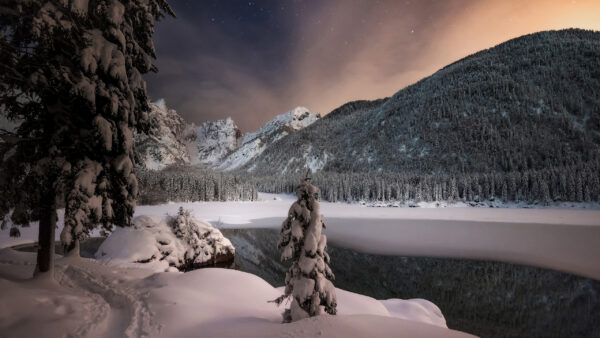 Wallpaper Nighttime, Snow, Greenery, During, Trees, Winter, Lake, Green, Covered, Frozen, Beautiful, Mountains, Spruce