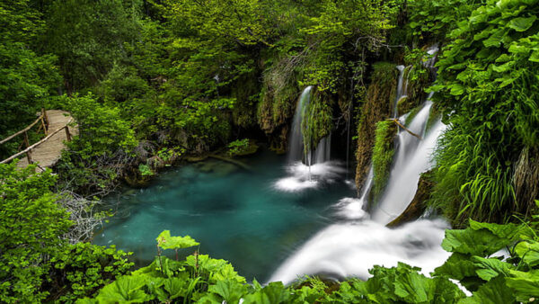 Wallpaper Wood, Waterfalls, Trees, Forest, Background, Green, Fall, Bushes, Leaves, Bridge