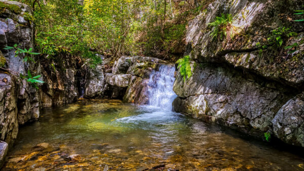 Wallpaper Waterfall, Bushes, During, Stones, Daytime, Lake, Forest, Background, Trees, Rocks, Sunbeam