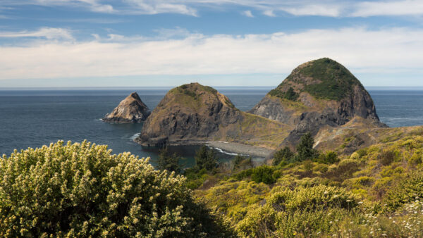 Wallpaper View, Flowers, Landscape, Under, Nature, Blue, Sky, Bushes, Rocks, Clouds, White, Ocean, Greenery