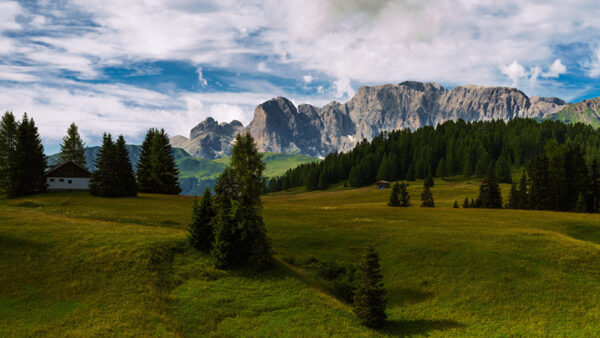 Wallpaper Rock, Scenery, Grass, Under, Sky, Trees, Mountains, Spruce, Blue, Clouds, Field, Greenery, Nature, White