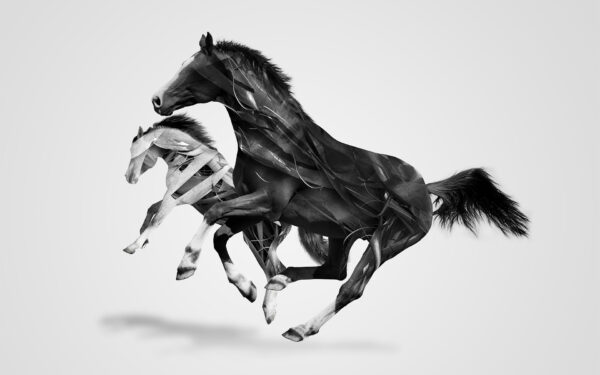 Wallpaper Monochrome, Horses