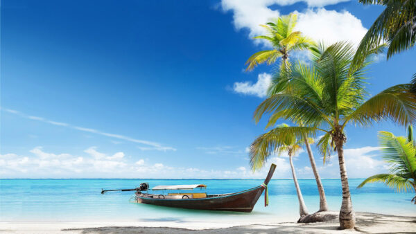 Wallpaper Desktop, Sunny, During, Beach, Body, Trees, Coconut, Near, Boat, Time, Water