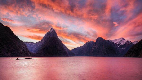 Wallpaper Milky, Pink, Tale, Milford, Sound