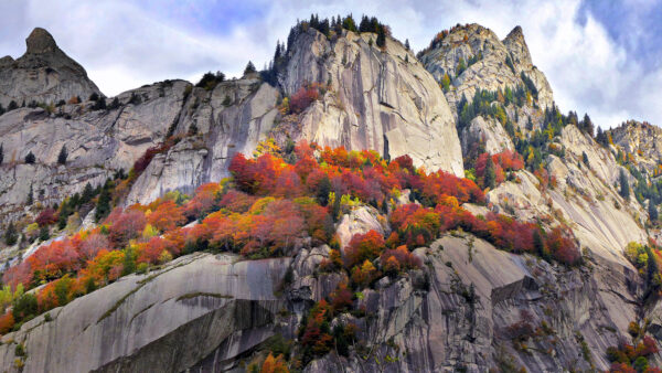 Wallpaper During, Trees, With, Rock, Nature, Mountain, Mobile, Desktop, Fall