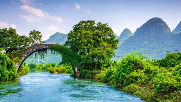 Wallpaper River, Green, View, Trees, Arch, Mountains, Landscape, Nature, Mobile, Between, With, Desktop, Above