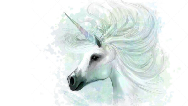 Wallpaper White, Unicorn, Horn, Desktop, Background