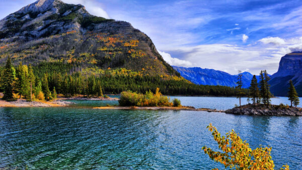 Wallpaper Rock, Between, Green, Colorful, Flowers, Sky, Under, Blue, Trees, River, Cloudy, Covered, Nature