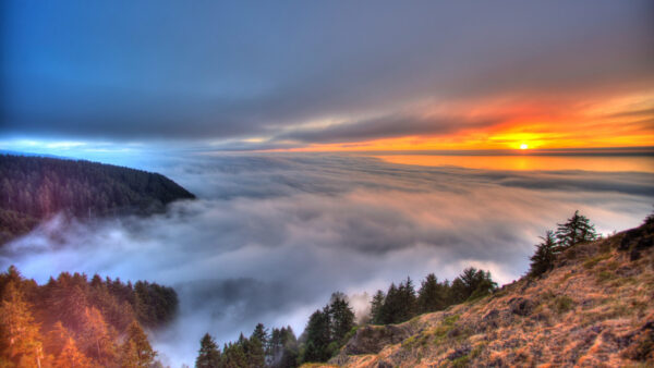 Wallpaper Sky, Trees, Cloudy, Covered, Fog, Mountains, Black, Under, Nature, White, Yellow