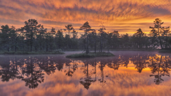 Wallpaper Sweden, Lake, Desktop, Sunset, Trees, Nature, Around, During