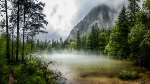 Wallpaper Beautiful, Nature, Trees, Surrounded, Foggy, Mountains, Forest, Background, Mobile, Green, Lake, Desktop