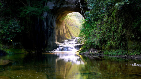 Wallpaper Reflection, Nature, Desktop, Plants, Mobile, River, Stream, Cave, Green, Trees, Water