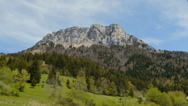 Wallpaper Trees, Nature, Mountain, Rock, Mobile, Desktop, Blue, Grass, Sky, Background