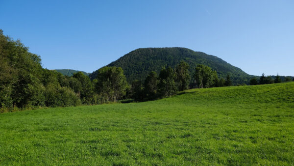 Wallpaper Nature, Under, Grass, Field, Mountains, Trees, Mobile, Green, Sky, Hills, Blue, Desktop