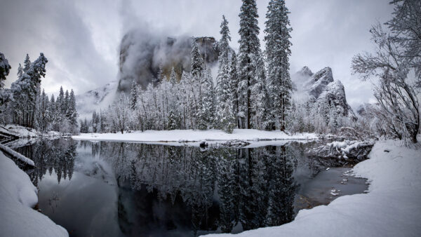 Wallpaper Covered, With, Spruce, Snow, Trees, Lake, Fog, Winter, Reflection, Mountains