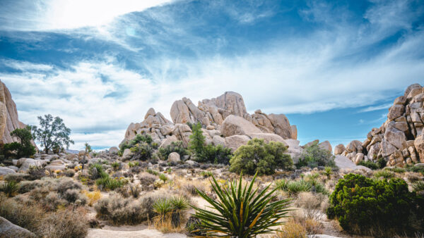 Wallpaper Sky, Treess, Mountains, Stones, White, Ocean, Background, Blue, Clouds, Beautiful, Nature, Rock, Under, Scenery, Bushes