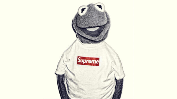 Wallpaper White, Kermit, Background, Supreme, Frog, The
