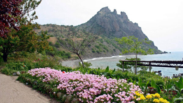 Wallpaper Yellow, Flowers, Plants, Ocean, Bushes, Nature, Mountain, Background, Green, Pink