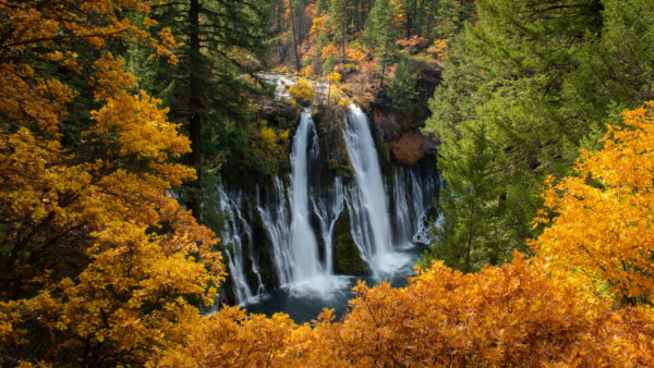 Wallpaper River, Landscape, Waterfalls, View, Pouring, Surrounded, Autumn, Rocks, Green, Beautiful, Trees, From, Yellow
