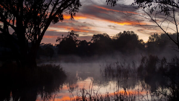 Wallpaper Sky, Black, Water, Lake, Yellow, Green, Trees, Fog, Nature, Clouds, Reflection, Grass