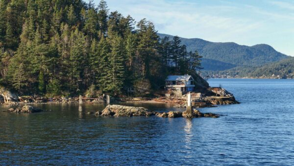 Wallpaper Forest, Nature, Trees, Mountain, View, Stones, Wood, Mobile, Desktop, Landscape, Lake, House, Background