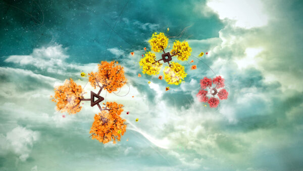 Wallpaper Trees, Colorful