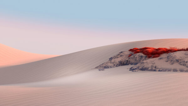 Wallpaper Desert, Surface, Microsoft, Landscape